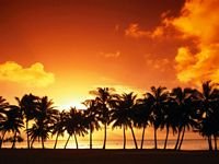 pic for Tropical Sunset 